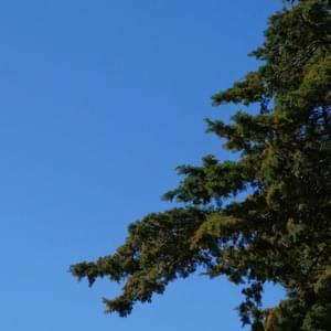 Planetas & Botões — A Tarde Aqui
